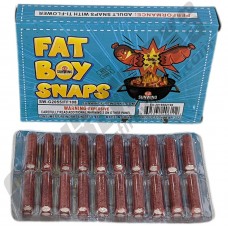Fat Boy Canister Snaps 20ct Box (Low Cost Shipping)